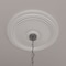 Ekena Millwork Diane Ceiling Medallion (Fits Canopies up to 6 1/4"), 24"OD x 3 5/8"ID x 1 1/4"P, Primed White CM24DI - alternate 10